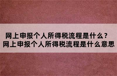 网上申报个人所得税流程是什么？ 网上申报个人所得税流程是什么意思